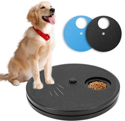 Dog Nail Scratch Board | Stress-Free Interactive Grooming File