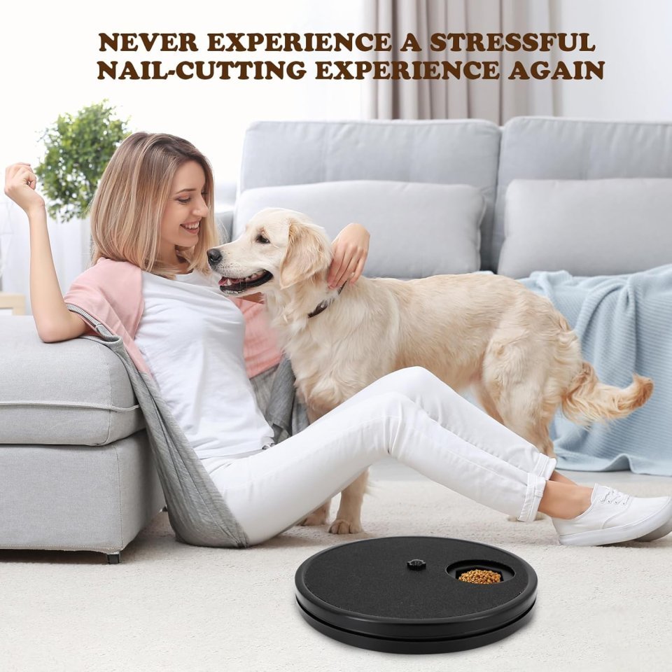 Dog Nail Scratch Board | Stress-Free Interactive Grooming File